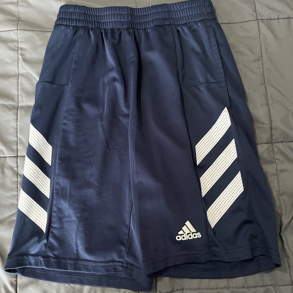 adidas Navy and White Men's Shorts